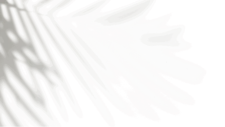 Zivo